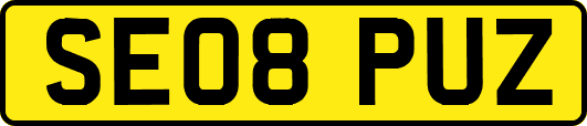 SE08PUZ