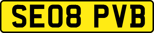 SE08PVB