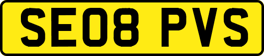 SE08PVS