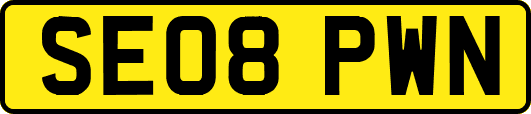 SE08PWN