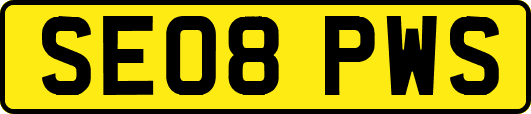 SE08PWS
