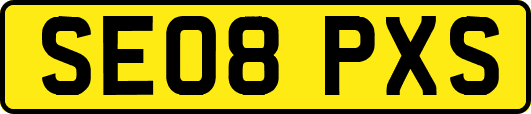 SE08PXS