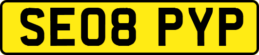 SE08PYP