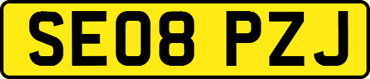 SE08PZJ
