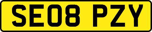 SE08PZY