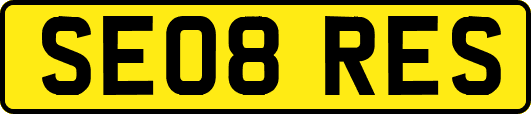 SE08RES