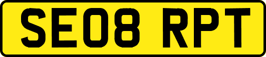 SE08RPT