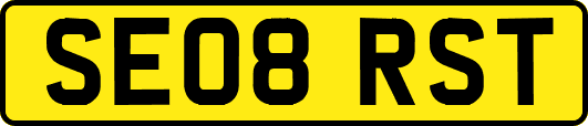 SE08RST