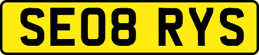 SE08RYS