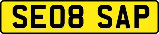 SE08SAP