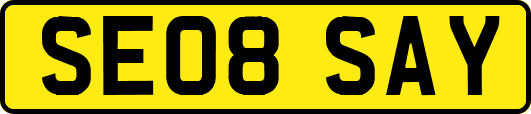 SE08SAY