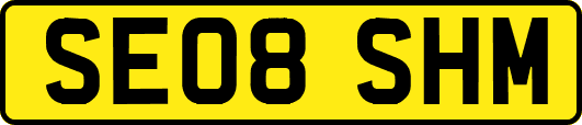 SE08SHM