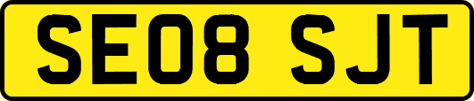 SE08SJT