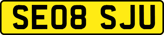SE08SJU