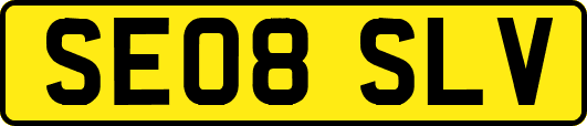 SE08SLV