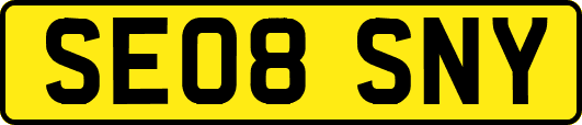 SE08SNY