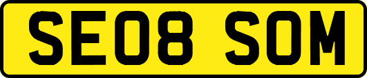 SE08SOM