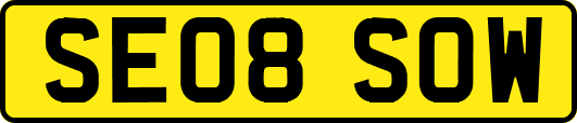 SE08SOW