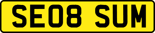 SE08SUM