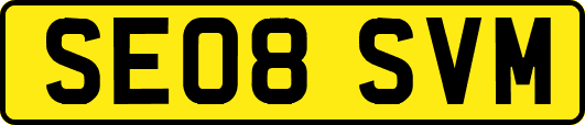 SE08SVM