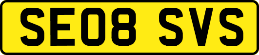 SE08SVS