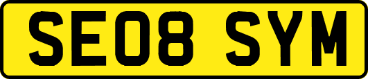 SE08SYM