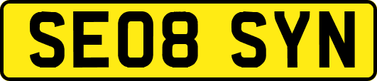 SE08SYN