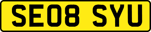 SE08SYU