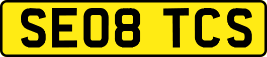 SE08TCS