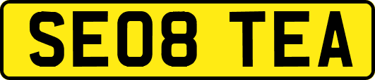 SE08TEA