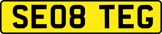 SE08TEG