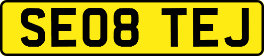 SE08TEJ