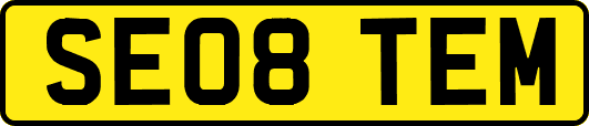 SE08TEM