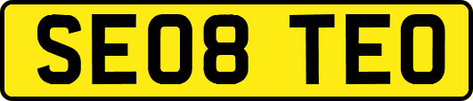SE08TEO