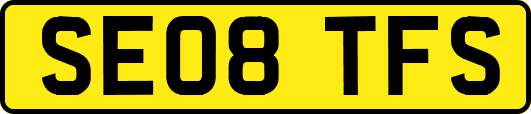 SE08TFS