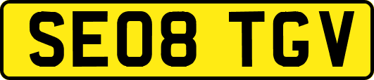 SE08TGV