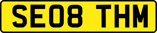 SE08THM