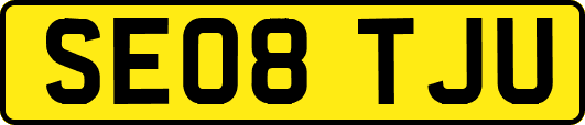 SE08TJU