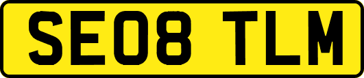 SE08TLM