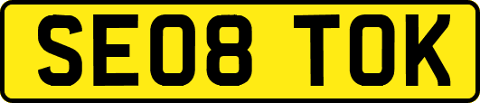 SE08TOK