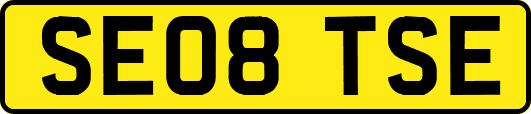 SE08TSE