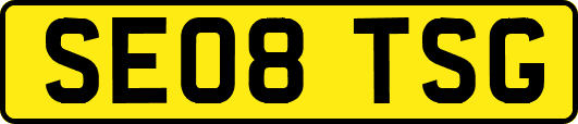 SE08TSG