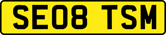 SE08TSM