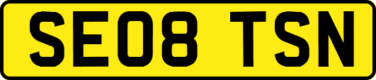 SE08TSN