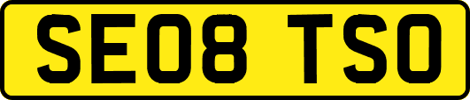 SE08TSO