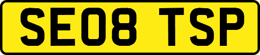 SE08TSP