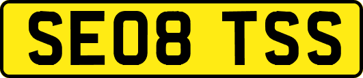 SE08TSS