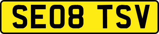 SE08TSV