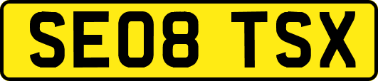 SE08TSX