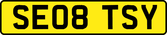 SE08TSY